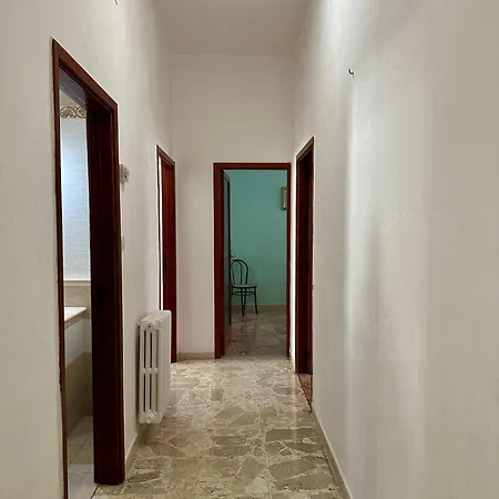 Orchidea House *